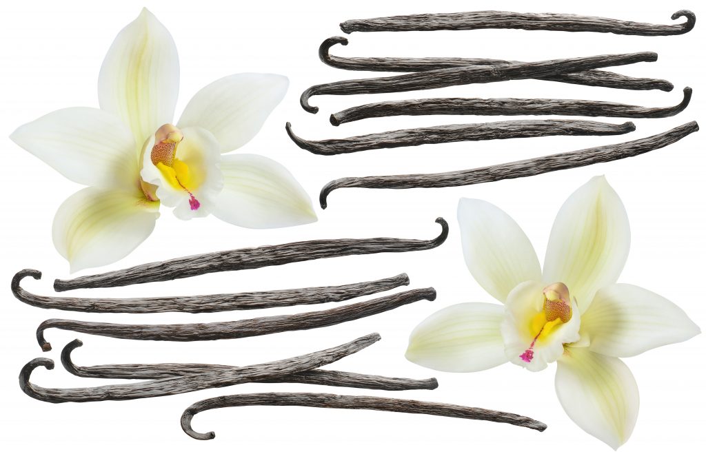 Vanilla beans and flowers are shown on a white background.